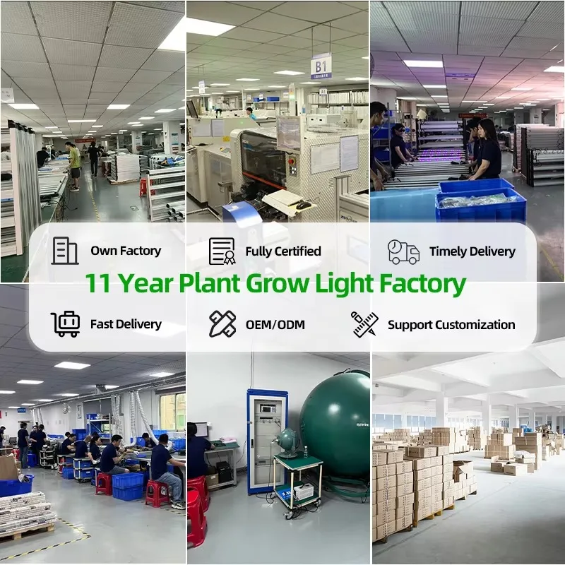 Factory Direct 600W/640W Full Spectrum LED Grow Lights Dimmable Foldable Hydroponic Indoor Garden IP65 Blooming for Plants