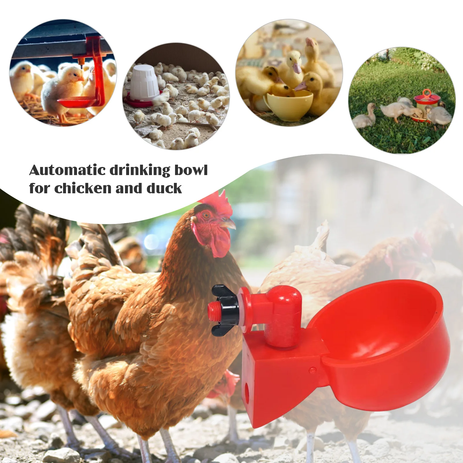 36PCS Chicken Duck Drinking Cup Automatic Drinker Chicken Feeder Plastic Poultry Farm Water Drinking Cups Feeding Watering Tools