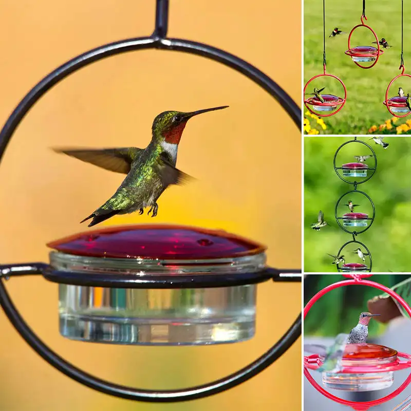 Slim Hummingbird Feeder Metal Hummingbird Feeder Hanging Metal Hummingbird Feeder Round Hummingbird Feeder