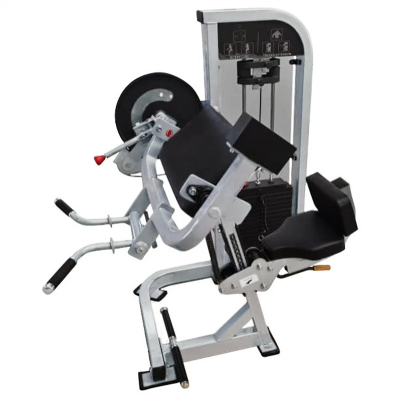 2026 Commercial Gym Equipment Strength Machine Dual Function Biceps Curl / Triceps Extension Machinepromote sales