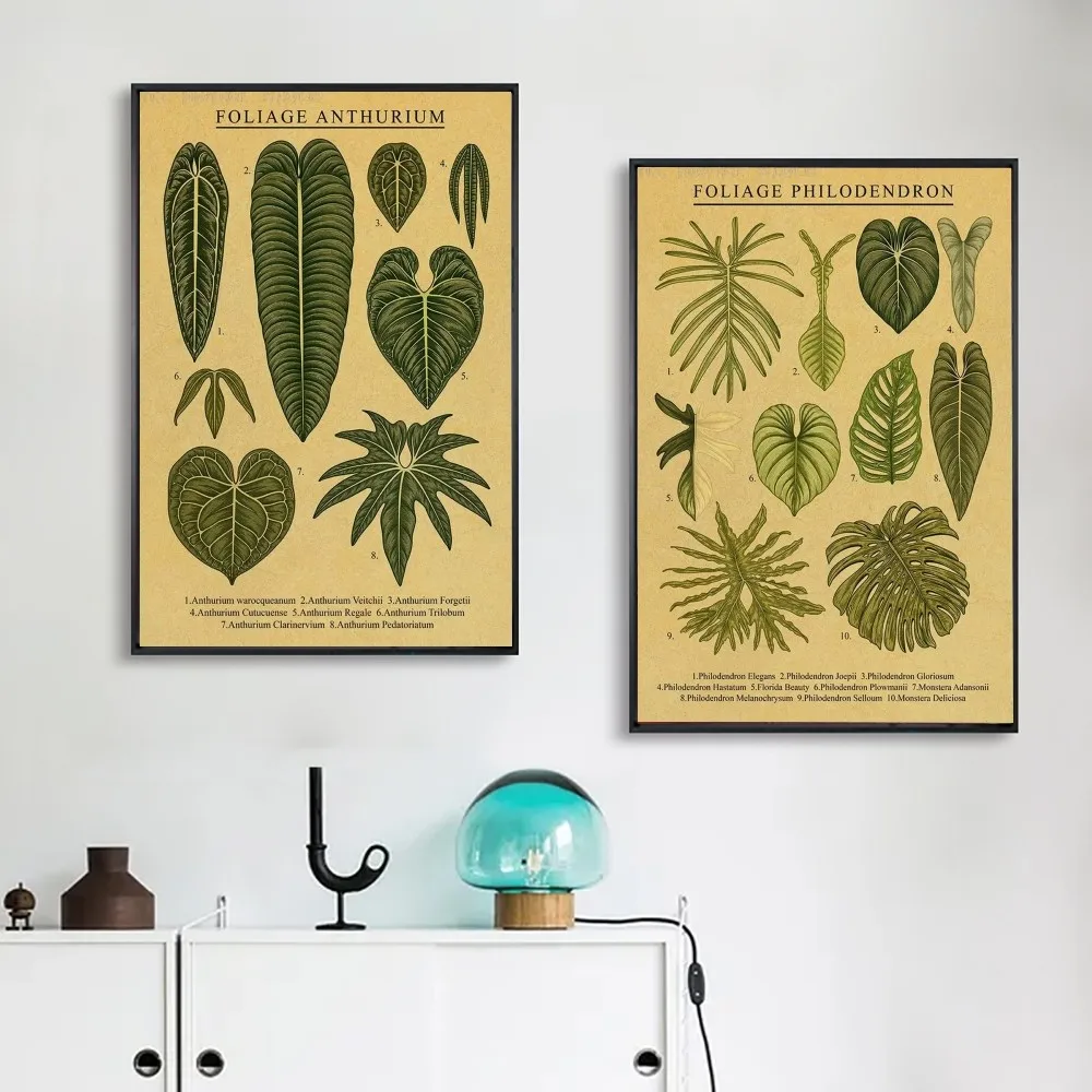 

Botanical Printing Flowers Poster DIY Poster Kraft Paper Vintage Poster Wall Art Painting Study Stickers Big Szie Wall Painting