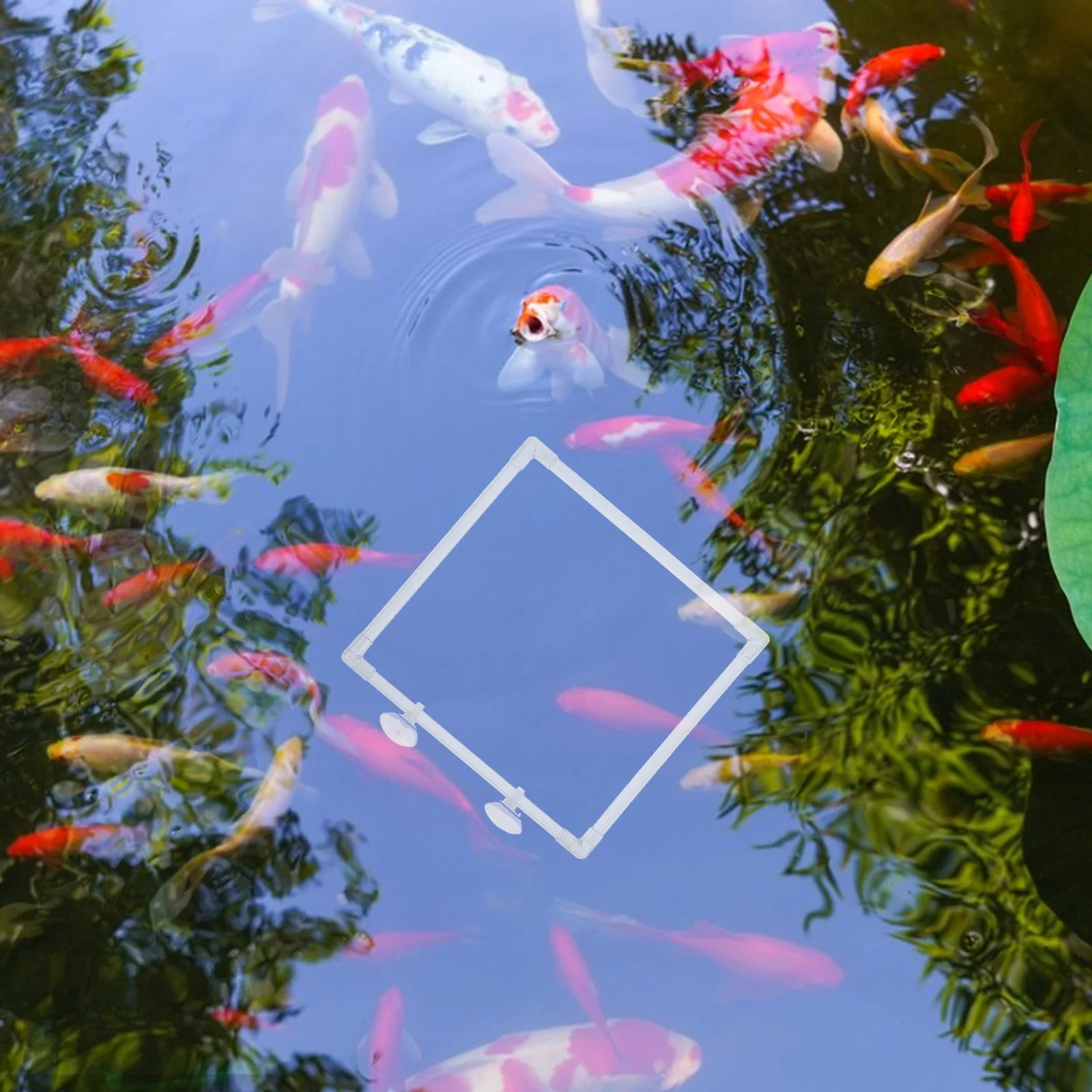 

Aquarium Feeding Acrylic Floating Plant Barrier with Suction Cup for Small Fish Tanks Betta Feeding Tool Organized