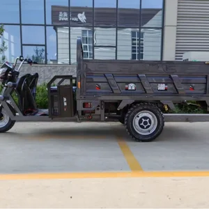 9 Haupttrikeverkäufe mit Motor - №9