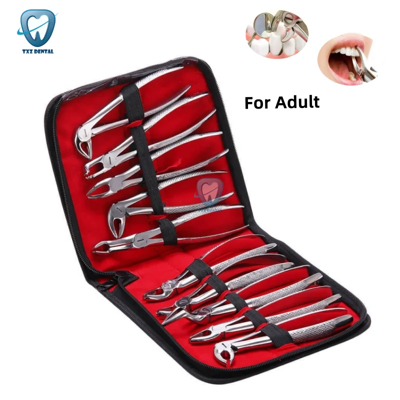 

Dental Adult Forceps Tooth Extraction Forcep Pliers Kit 10Pcs/Set Stainless Steel Orthodontic Dental Clinic Tools