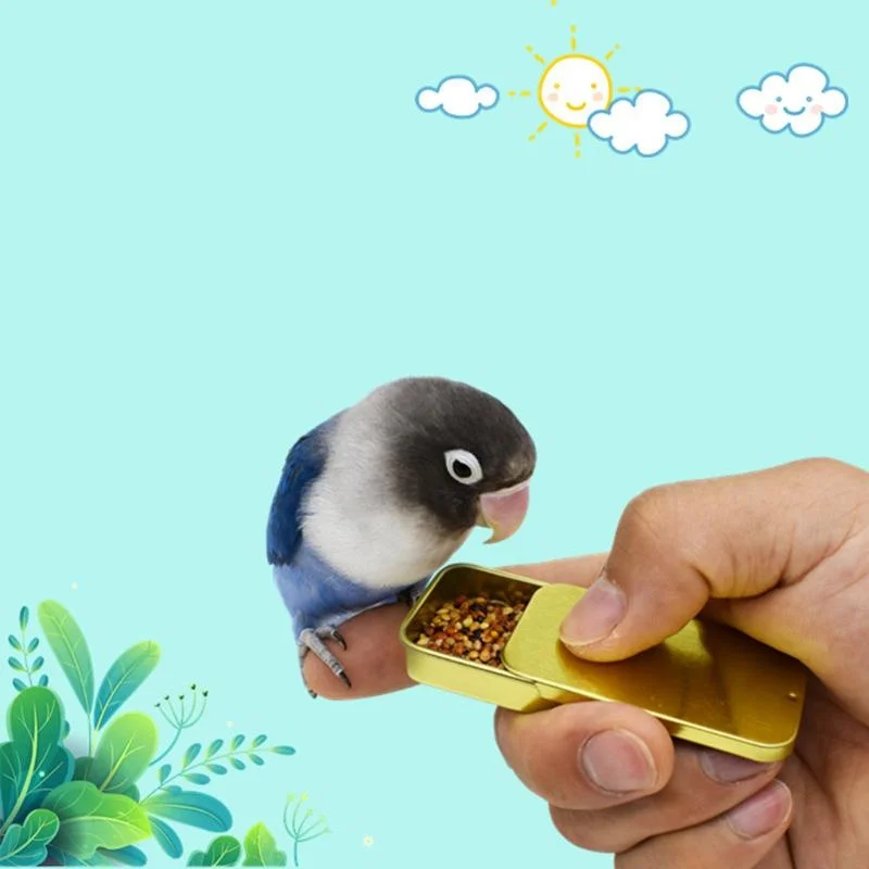 Bird Training Food Jar Parrot Handheld Feeder Bird Interactive Educational Toy Feeder Cup Available in Multiple Colors
