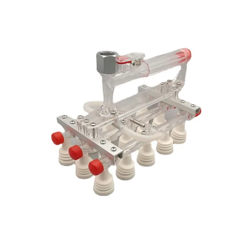 Encoder sottovuoto semiautomatico per estrattore di uova da 30 pezzi V30A