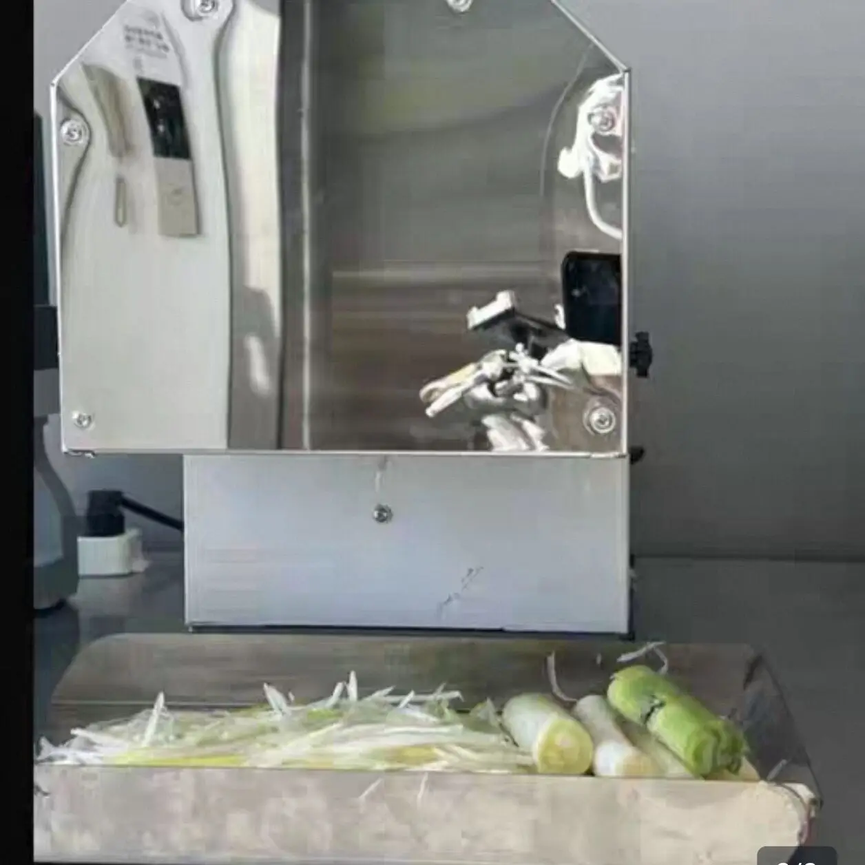 Electric Scallion C…