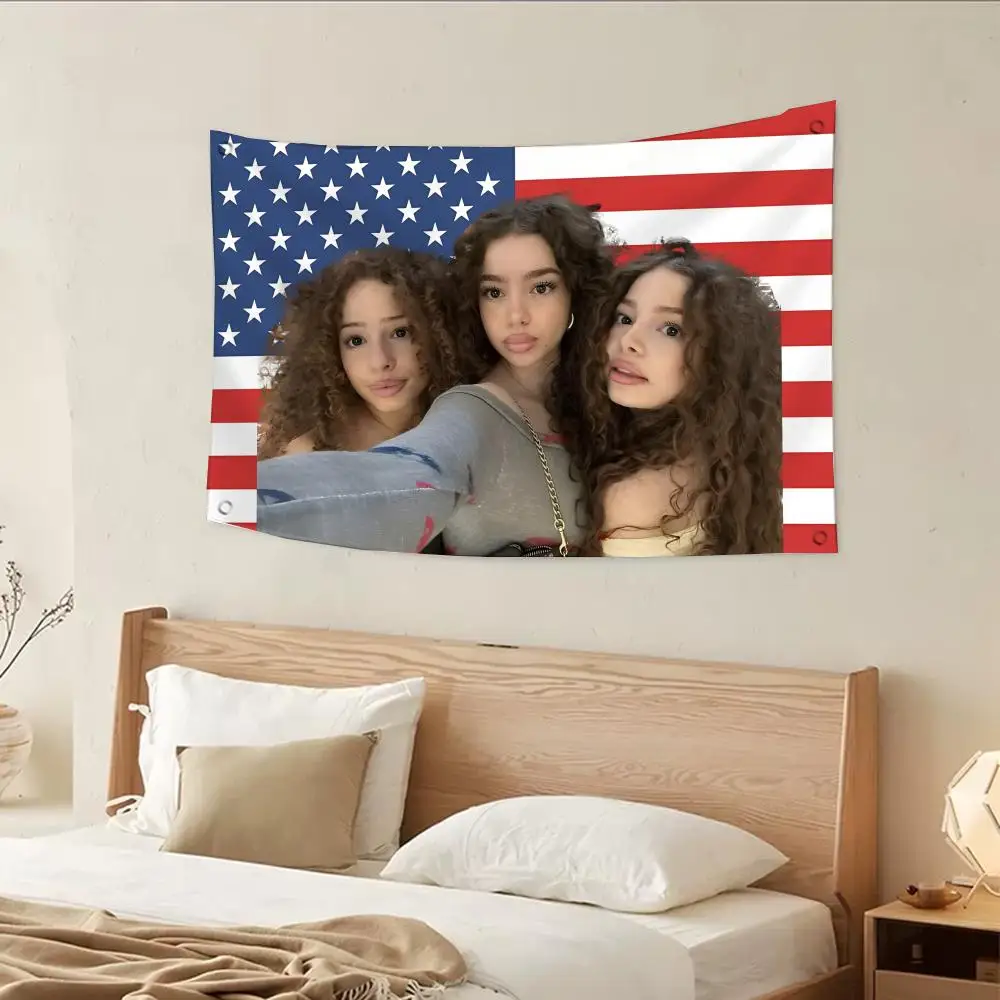 Kalogeras Sisters 2024 American Flag Flags flags four rings hanging no edging for indoor use and outdoor decor easy hanging