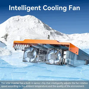 8 sürücüde büyük satışlar, şebeke dışı, epever-no. 2