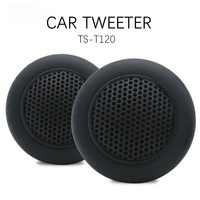 1 Pair 1000W High Power Car Tweeters HIFI Sound Quality Music Stereo High Pitched Car Audio System Modified TS-T120 Car Tweeters