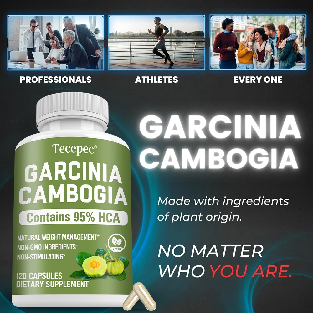 Экстракт гарцинии камбоджийско – обзор и цена Garcinia Cambogia Extract