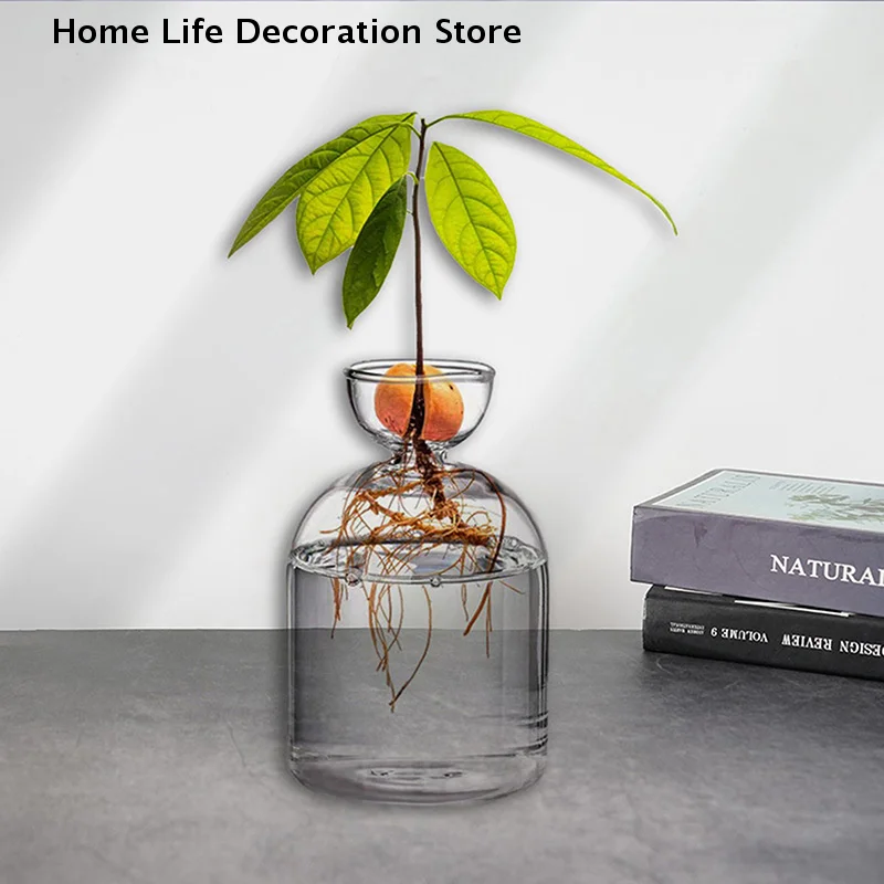 Transparent Avocado Seed Starter Vase-Grow Your Own Avocado Tree Unique Glass Planting Pot for Gardening Lovers Start Your Green