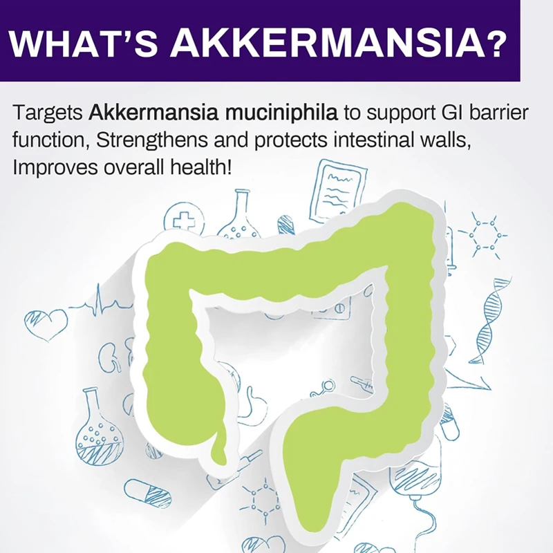 300 billion AFU Akkermansia Muciniphila live probiotic digestion, gut, immunity, and overall health, 60 capsules