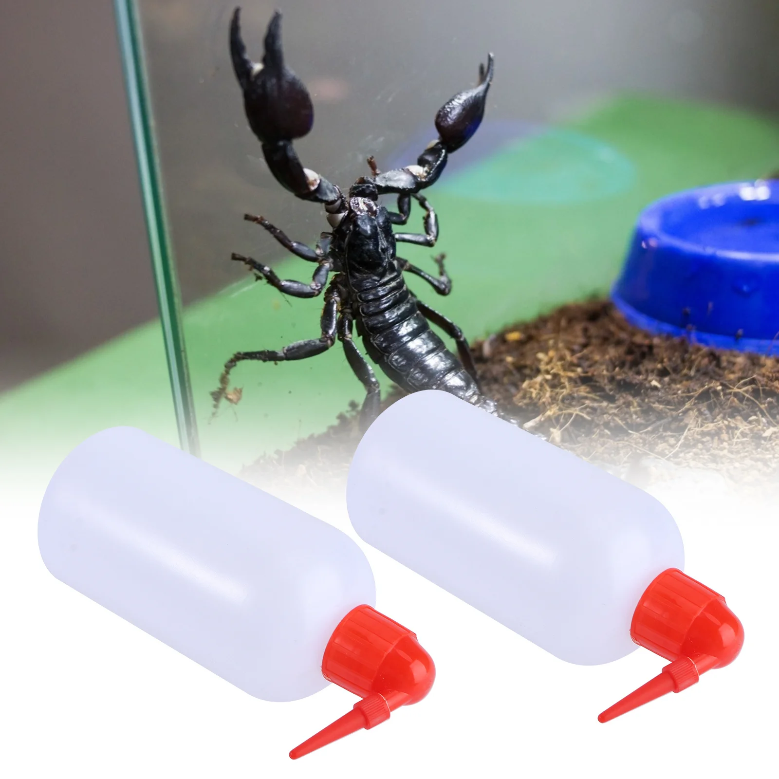 

2pcs Pet Watering Holder 500Ml Long Nozzle Bottle For Reptile Lizard Tortoise Spider Scorpion Plastic Watering Kettle Pet
