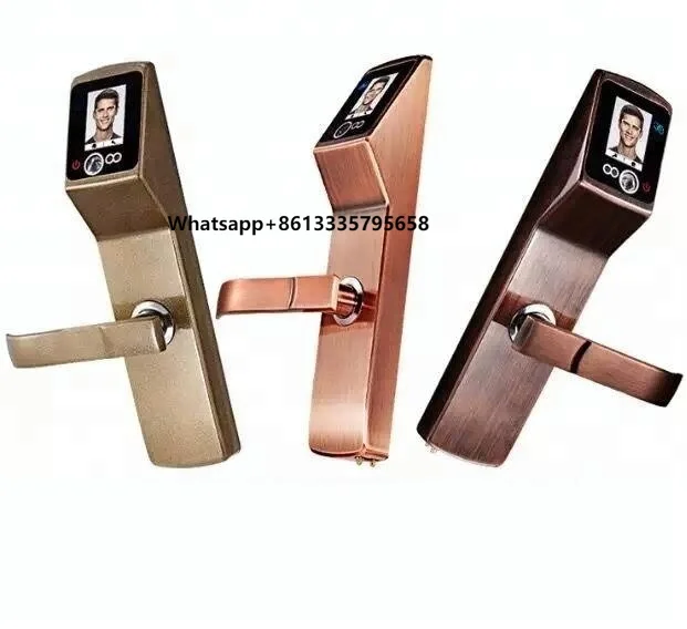 

High Level Smart Card Face Recognition Door Lock