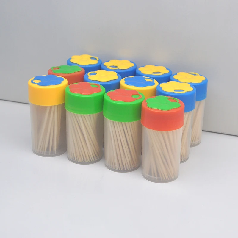 12pcs reusable toothpick container, containing 2400 toothpicks for party barbecue cocktails, fruits, and tooth cleaning