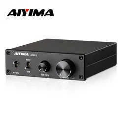 AIYIMA Audio A3001 TPA3255 Subwoofer Amplifier 300W HIFI Speaker Amplifier Mono Sound Power Amplificador Class D Home Audio Amp