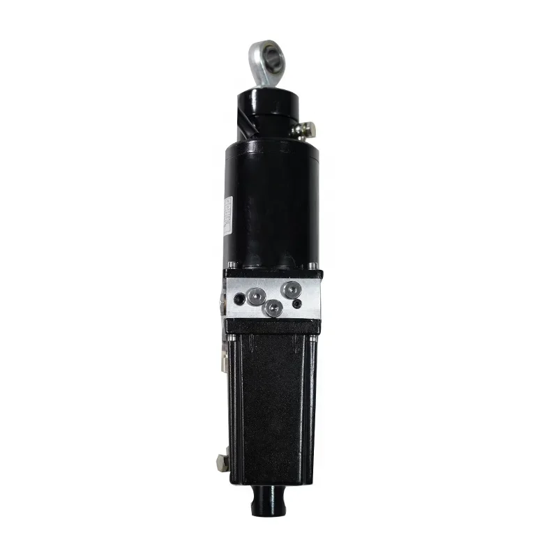 12 Volt Electric Piston Cylinder 24V Hydraulic Actuator Waterproof High Speed Micro Motor Brush 300W