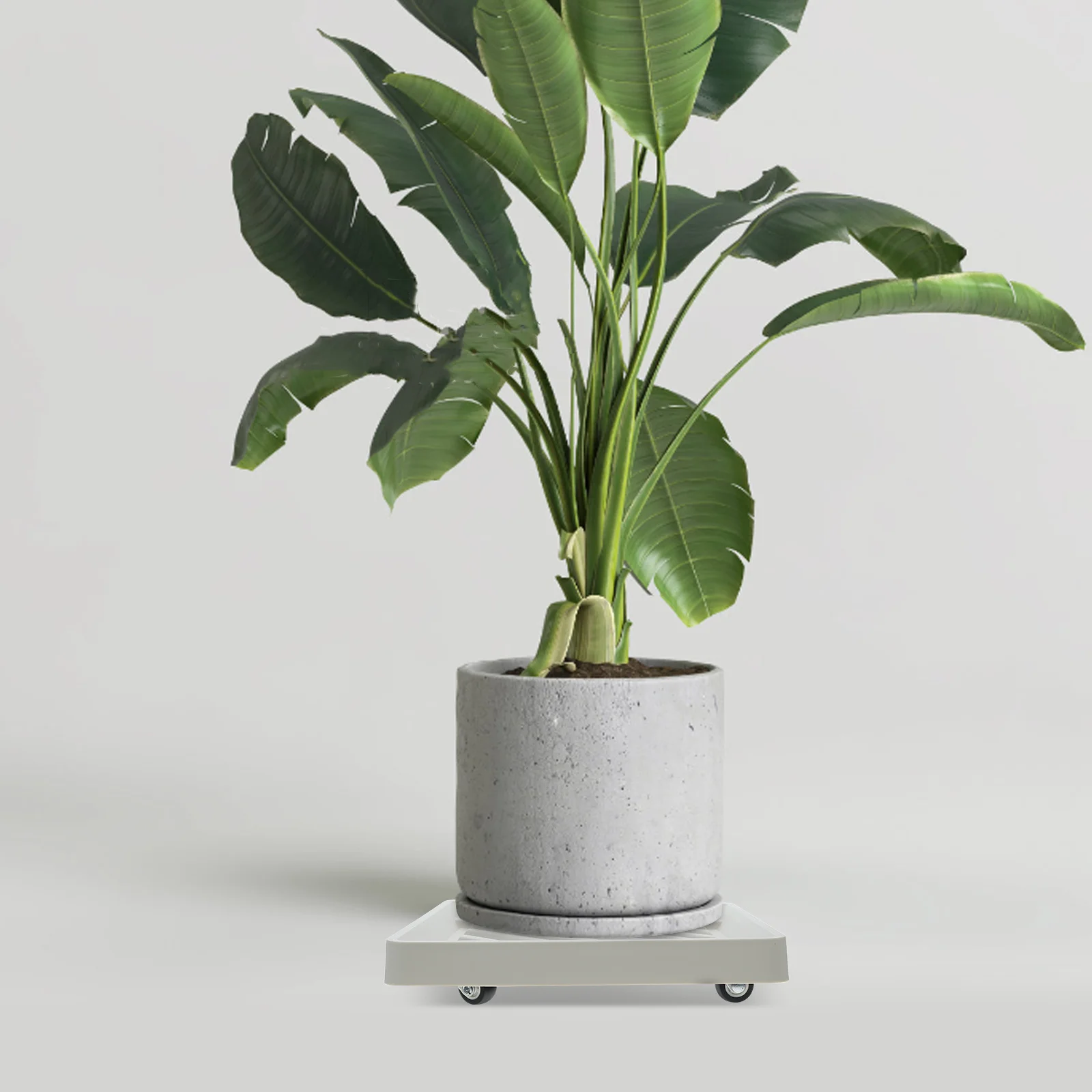 

1 шт. квадратная подставка для растений с колесами, сверхмощная подвижная подставка для растений, тележка для наружного использования в помещении, в саду, поднос для цветочного горшка на колесиках