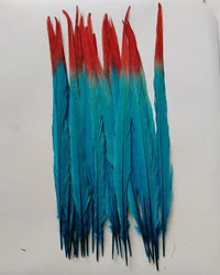 10PCS/LOT! 40-45cm long Ringneck Pheasant Tail Feathers/ Two Tone,ombre,Red and Turquoise