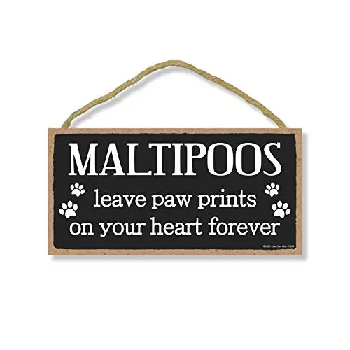 Honey Dew Gifts Maltipoos Leave Paw Prints, Wooden Pet Memorial Home Decor, Decorative Dog Bereavement Wall Sign, 