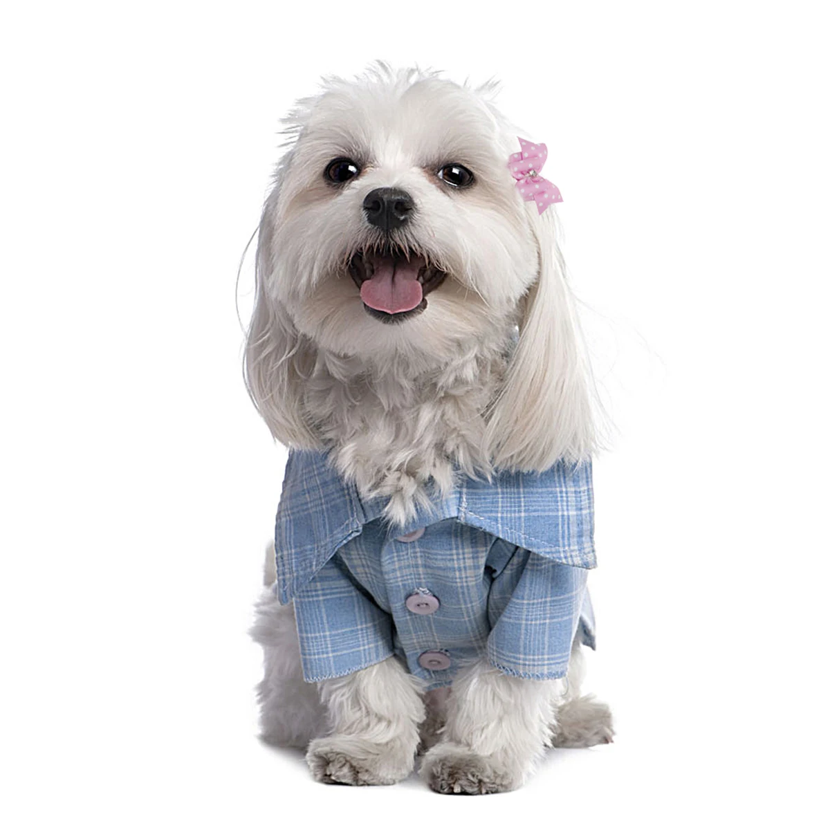 

20 Pcs Bow Tie Pet Nodding Flower Puppy Dog Hair Accessories Bows with Rubber Band