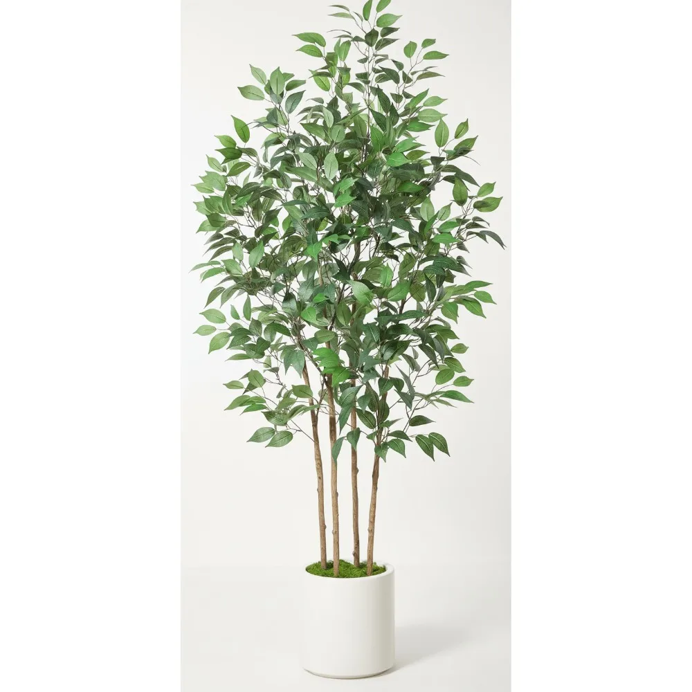 

6-футовое искусственное фикусное дерево с белым кашпо и зеленым мхом для домашнего офиса, комнатное растение
