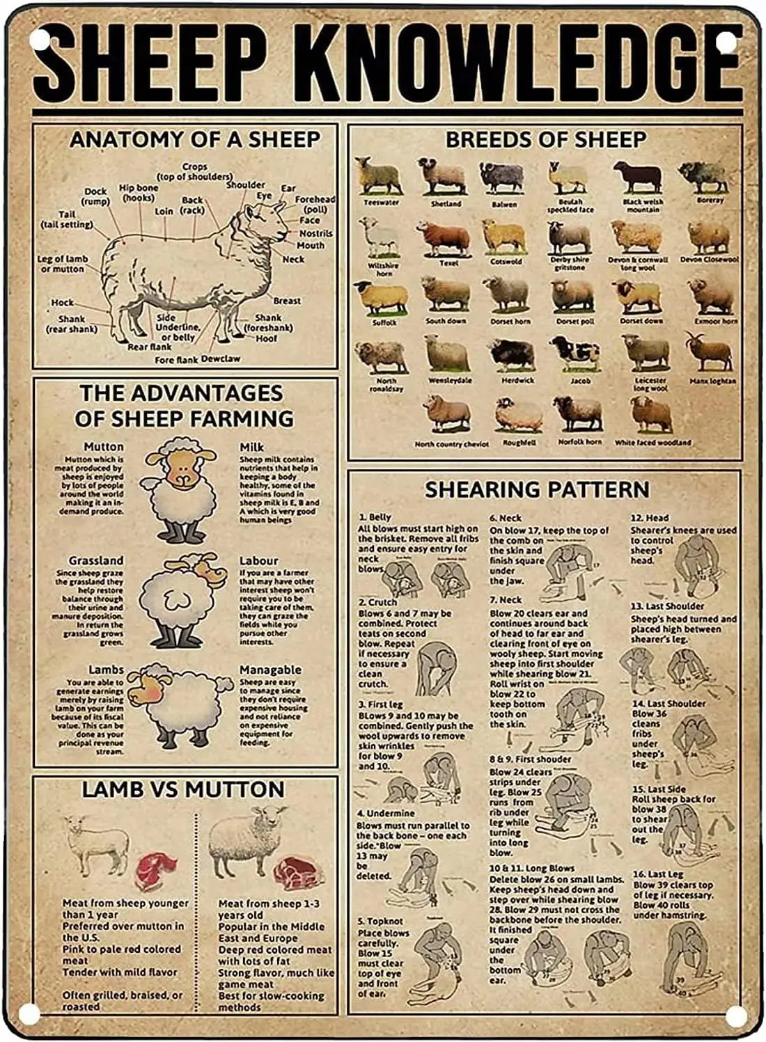 Plaque en métal « Les avantages de l'élevage de moutons » – Affiche rétro pour ferme, école, café, bar, chambre, salle de bain