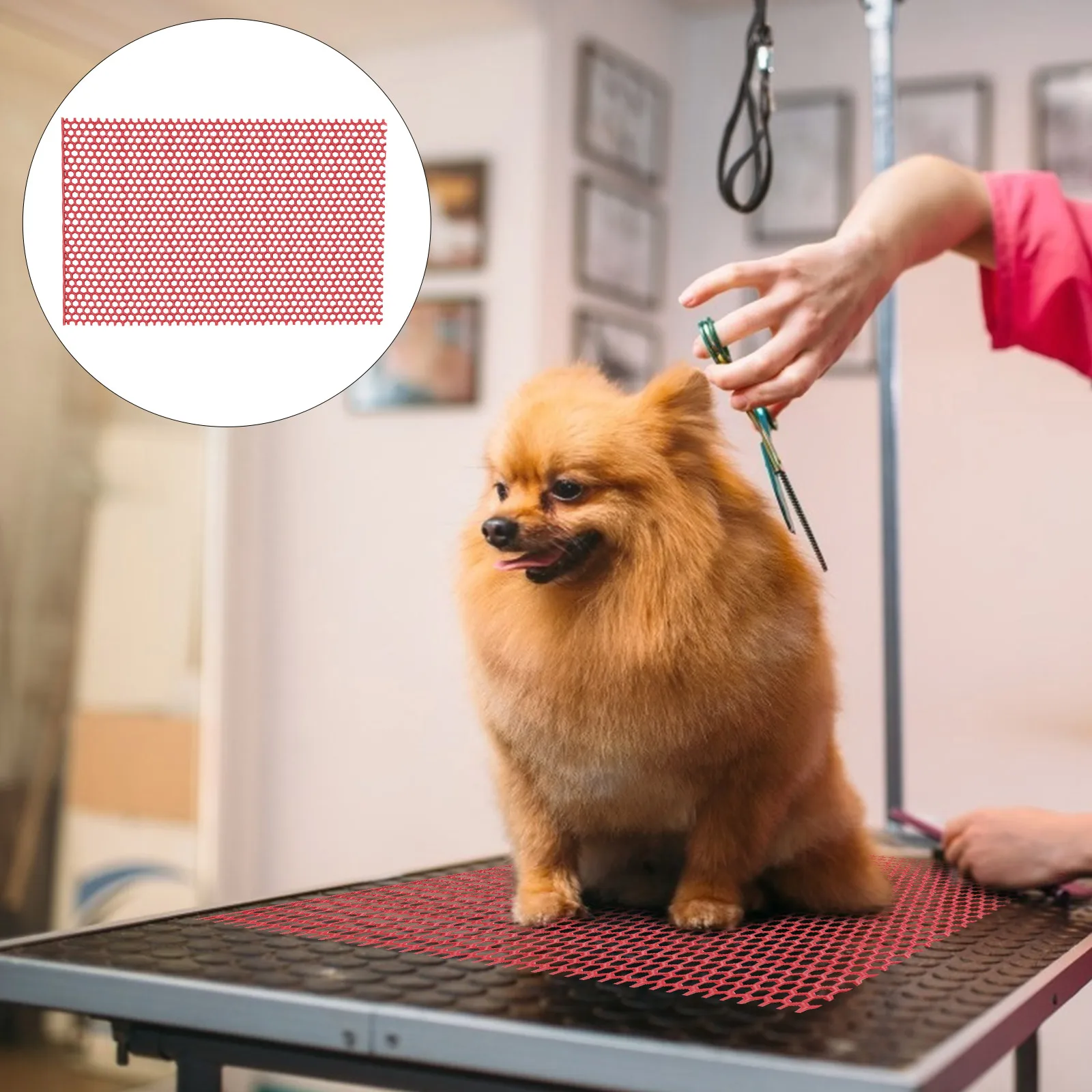 

Shell Dog Crate Pad along with Kennels Pvc Material Bedding Mats under Floor Protective