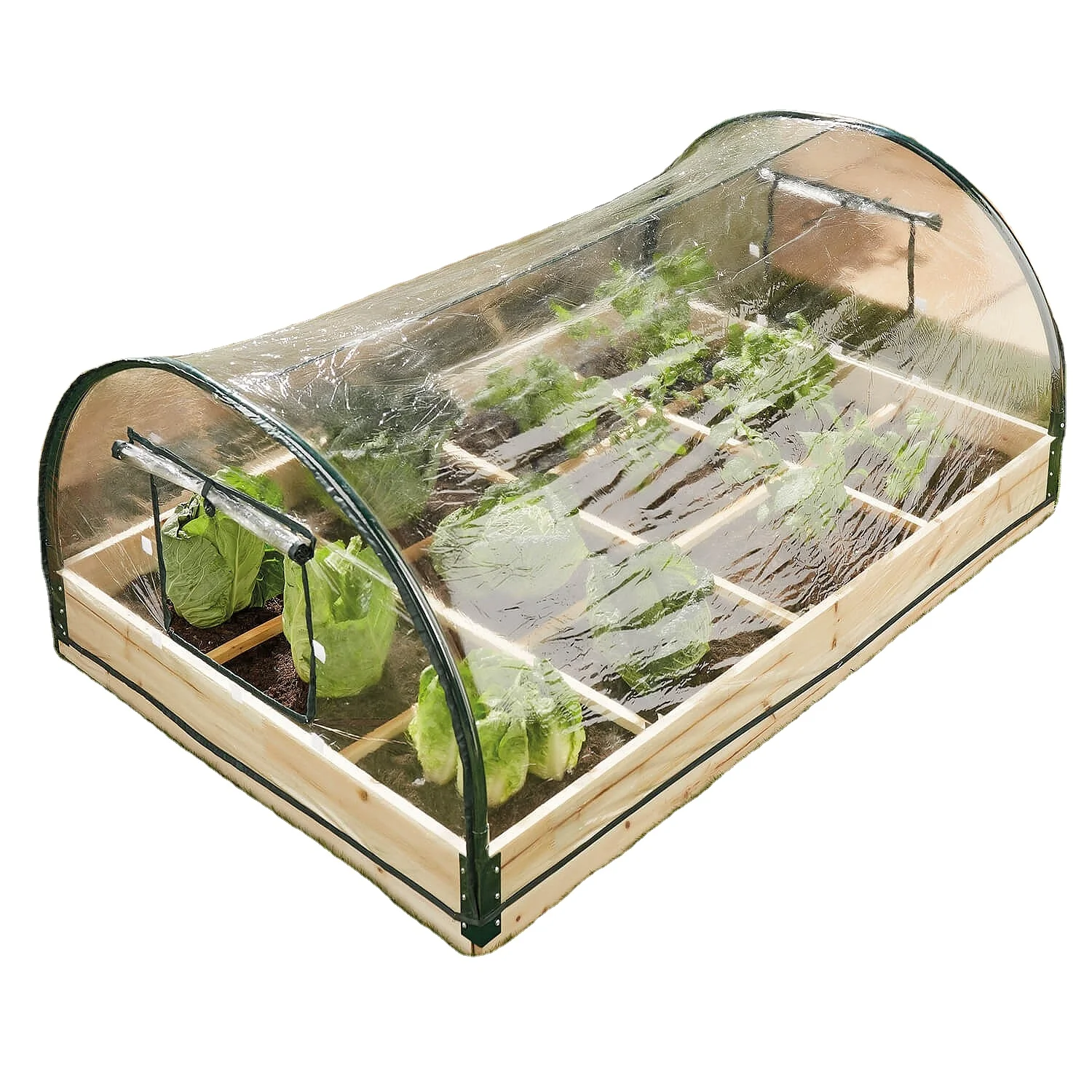 

12-Section Covered Plant Grow-house 12 Section Greenhouse