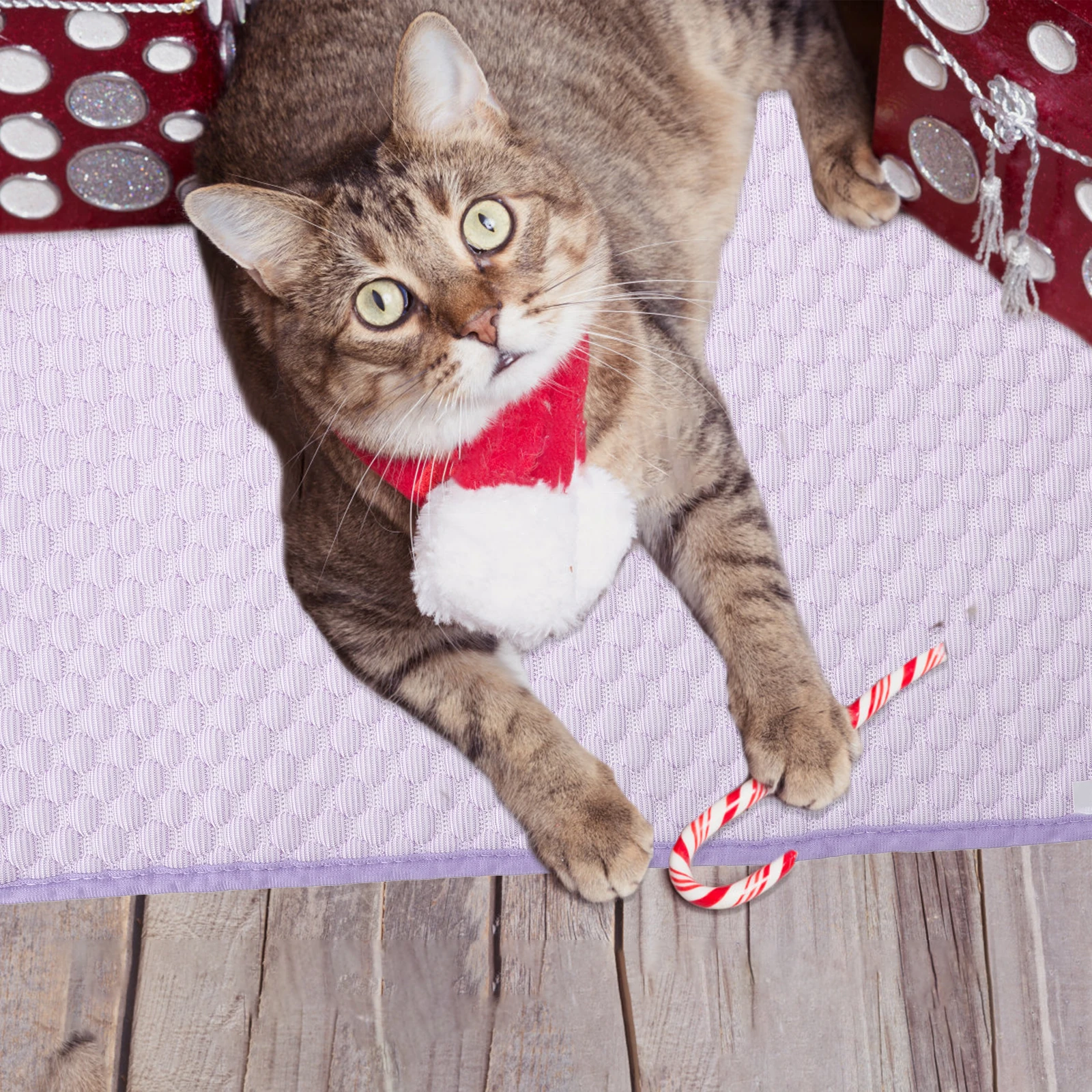 

Dog Cooling Mat Summer Pet Cooling Pad Comfortable Breathable for Indoor Outdoor Use Easy Clean Smooth Surface Safe Material