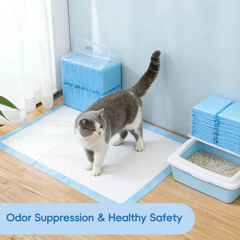 Hit Product Disposable Dogs And Cats Training Diapers Absorbent Quick Dry Pee Pads Puppy Mat Clean Cushion Dogs Cats Supplies