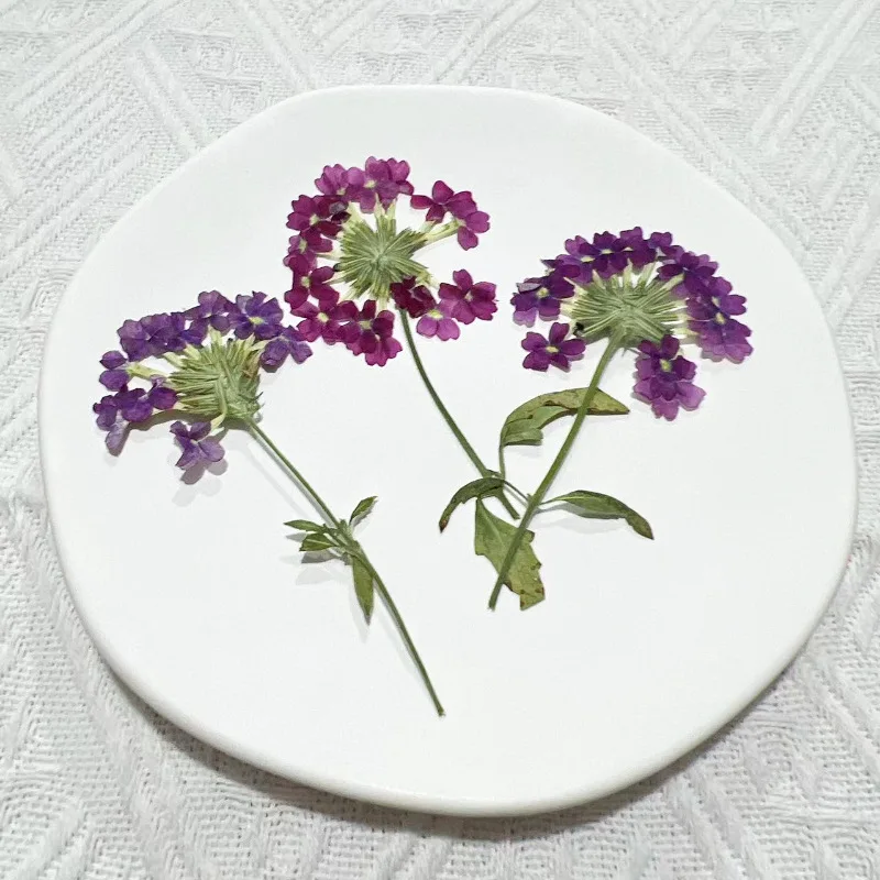 

Verbena-Natural Dried Flowers with Stems Specimen, Scented Candles Decoration, Free Shipping, 1000Pcs