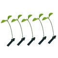 5PCS