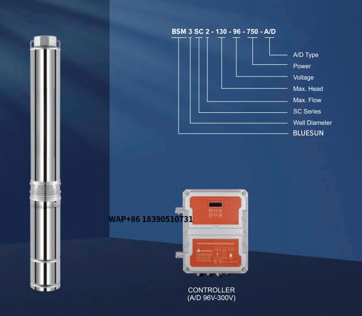 

China Famous Submersible Water Pump with Solar Panel Mounting System for Agriculture Irrigation and Home Use in EU
