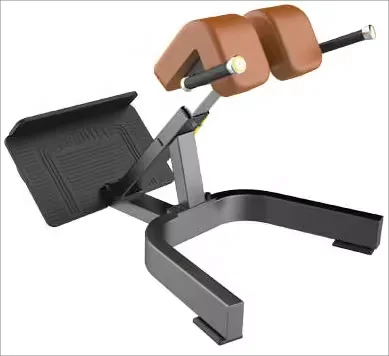 

Strength Training Gym Equipment Multi-functional Abdominal Exercise Roman Chair Back Extension 2025