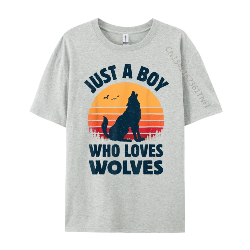 

Wolf Just A Boy Who Loves Wolves Men Retro Sunset 3d Printed T Shirts Man Fashionable and Trendy Funny Gifts Birthday