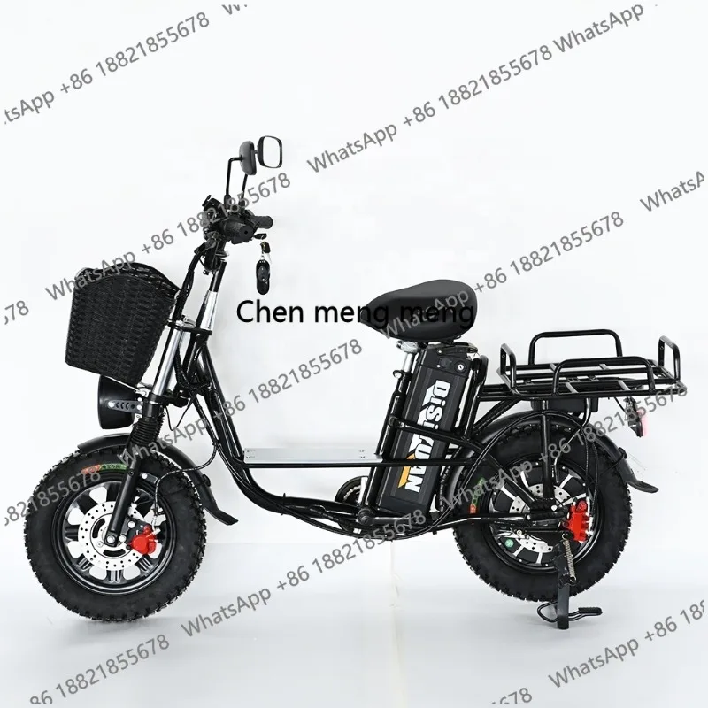 hot selling 2025 New 1-2 Seater Electric Two Passengers Battery Leisure Pure Electric Bike for Delivery