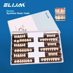 ELIJAH Dental Synthetic Resin Teeth Dental Denture Teeth Upper Anterior Lower Posterior Teeth Acrylic A2 A3 2 Layers