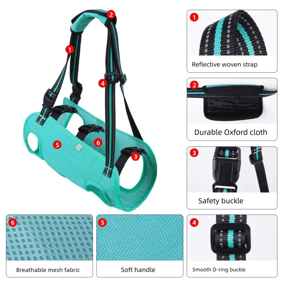 Thumbnail 3 - #66 Best Adjustable Pet Collars to Buy In 2026