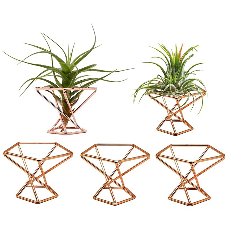 ABUL-Pack 20 حامل نباتات هوائية حامل نباتات الهواء Tillandsias عرض حاوية نباتية لتنقية الهواء حامل السرخس الهوائي، ذهبي وردي