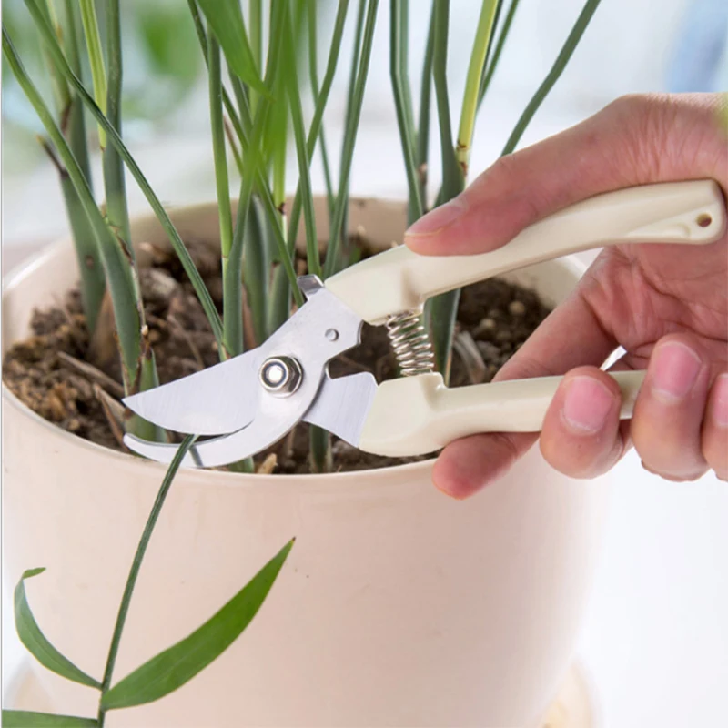 Drtools-tijeras de podar de acero inoxidable para el hogar, juego de herramientas antideslizantes para cortar árboles y jardinería, 17cm