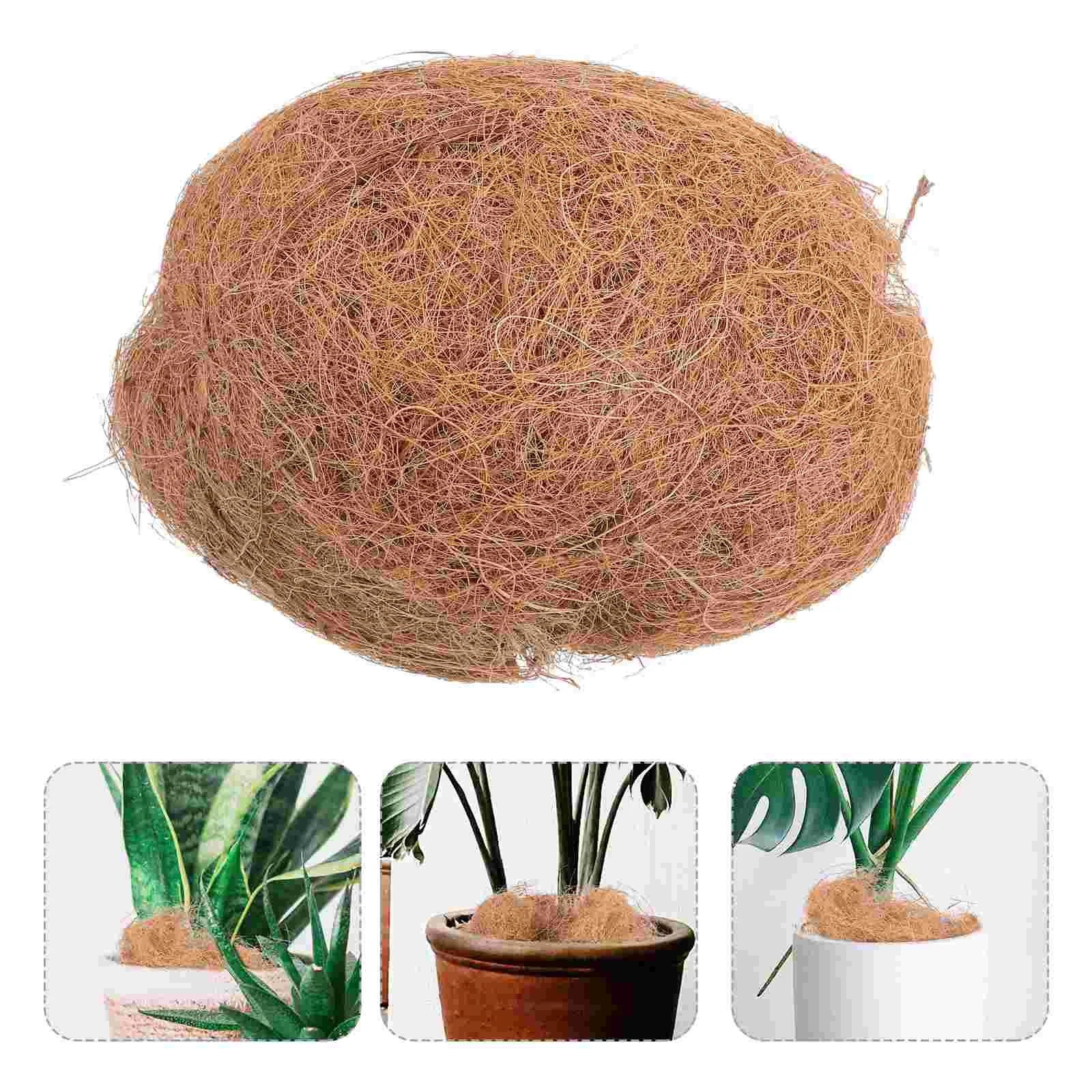 Horticulture Potted Shredded Coconut Soil for Vegetables Potting House Plants Bonsai Mix Brick Nutrient Natural Palm Gardening