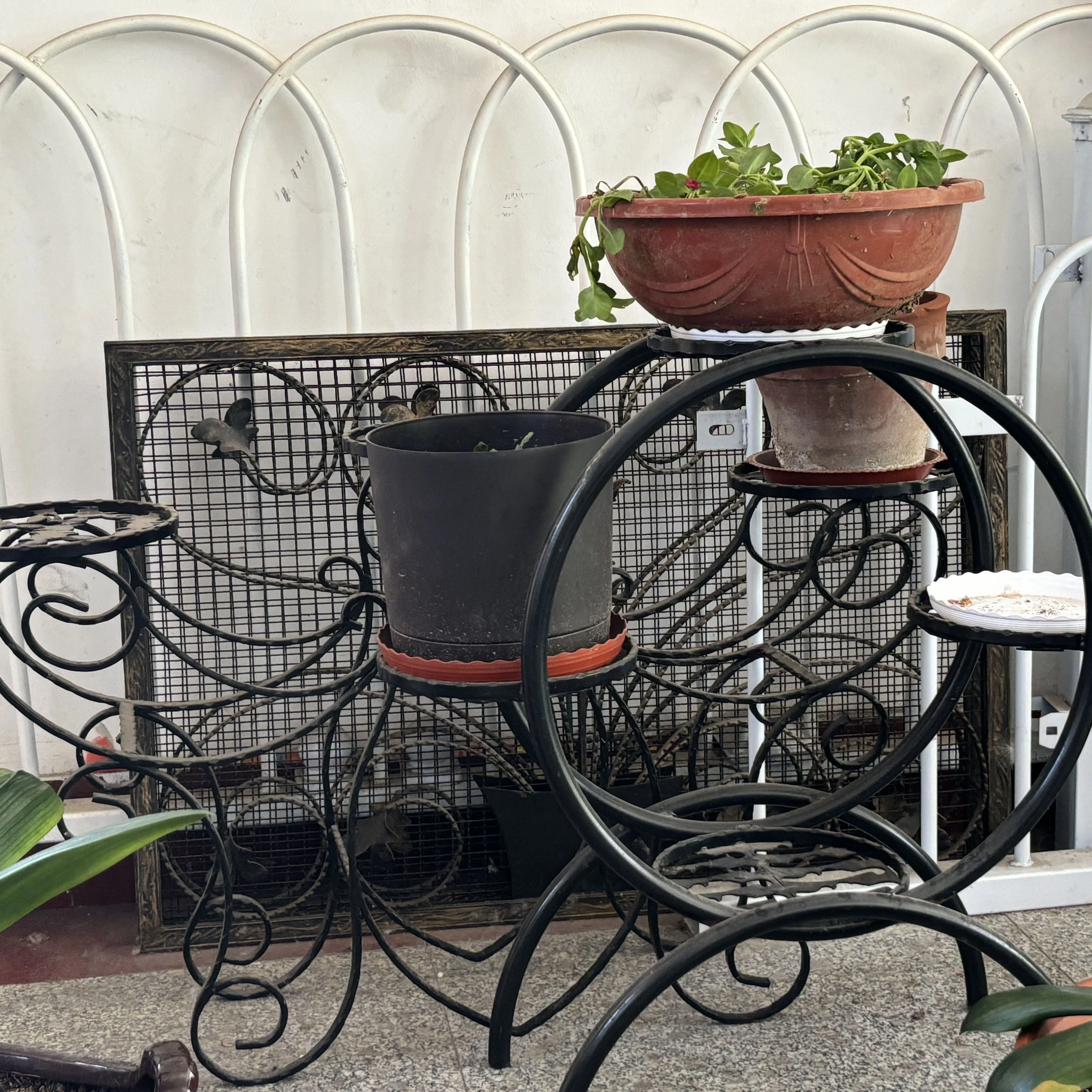 

Wrought Iron Flower Stands Are Exquisitely Used to Decorate Your Yard