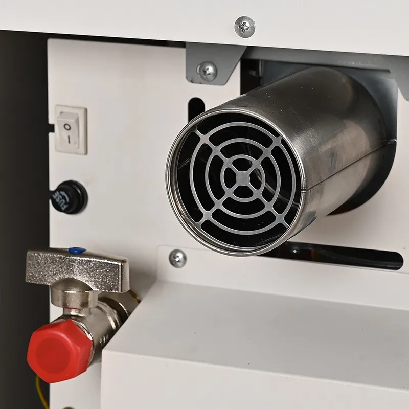 Scaldabagno a propano per camper da 65.000 BTU - Sistema di acqua calda istantanea (design a canna fumaria in plastica portatile, portata di 6 l/min, accensione automatica)