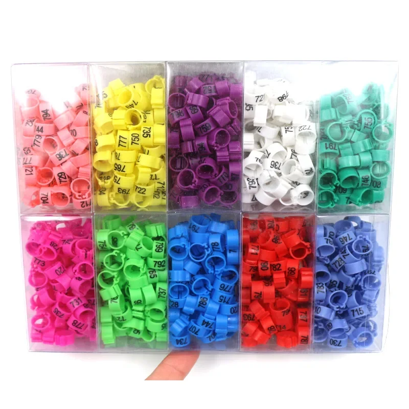 1000 sztuk Plastikowy pierścień na nogę ptaka 10 kolorów Przepiórka Papuga Kurczak Cyfrowe pierścienie dla gołębi Narzędzia do przenoszenia gołębi z numerem klipsa dla ptaków
