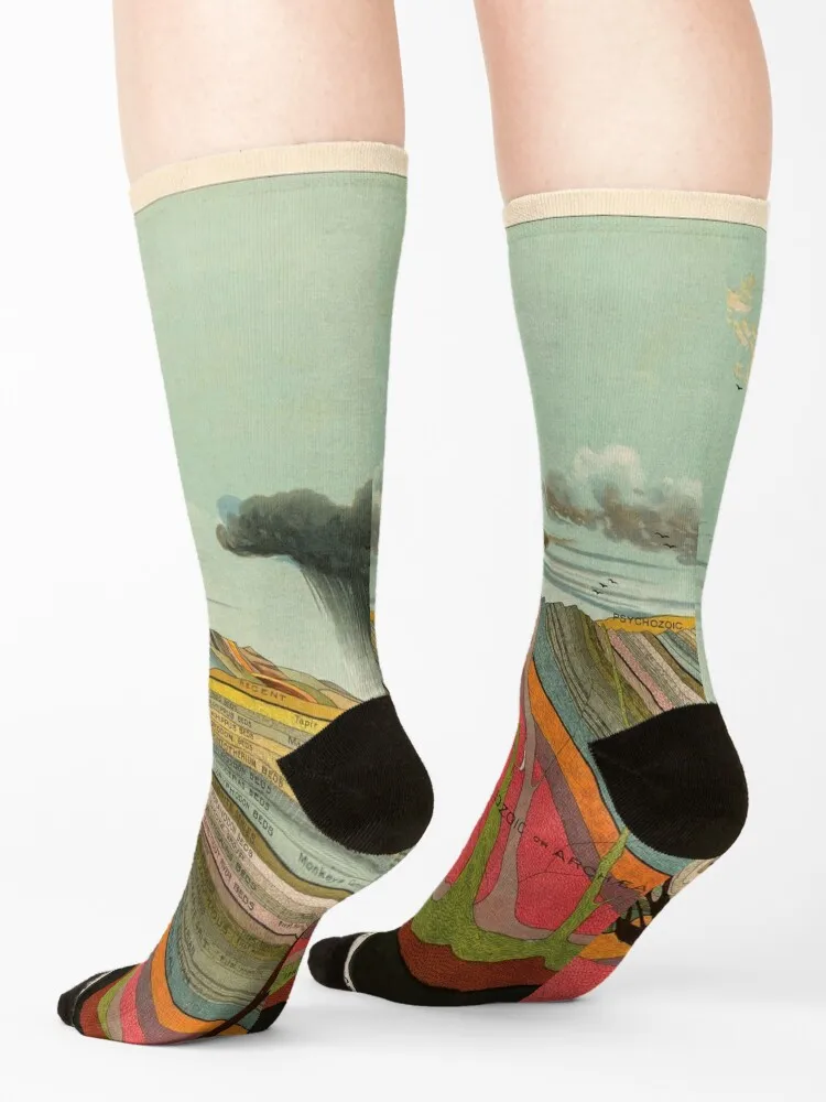 Calcetines vintage con gráfico geológico para hombre y niña, medias deportivas y de Ocio personalizadas, cálidas, invierno, 1893