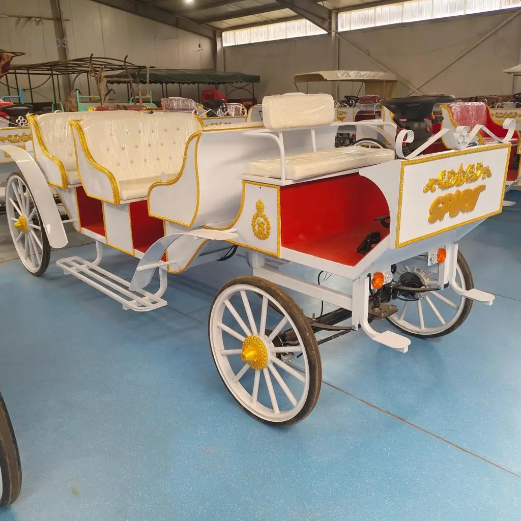 

2024 Sightseeing carriage Electric tricycle for passenger Customized color Factory price High quality COC