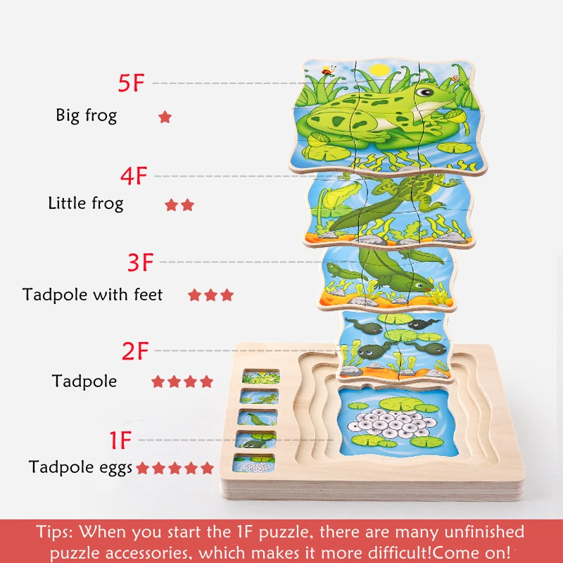 Children Wooden Human Body Puzzle Anatomy Play Skeleton Toy 5 Layers Body Structure Montessori Jigsaw Puzzles Preschool Learning