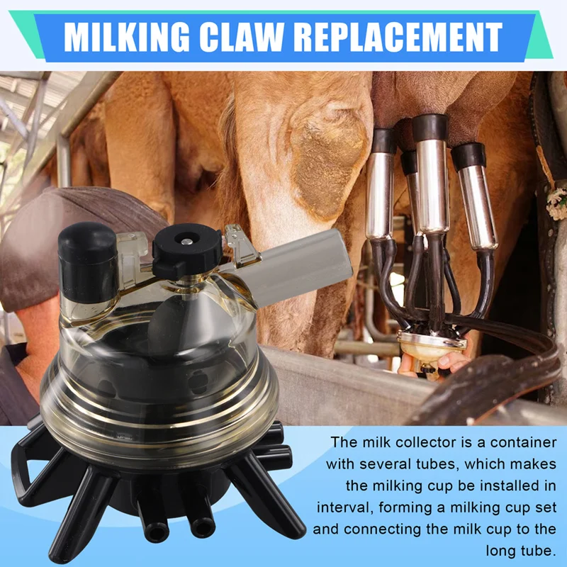 Milking Claw 150Cc Bevel Cow Milk Collector Milking Machine Cow Use Milking Claw Milk Collector  For Cow Milking Machine